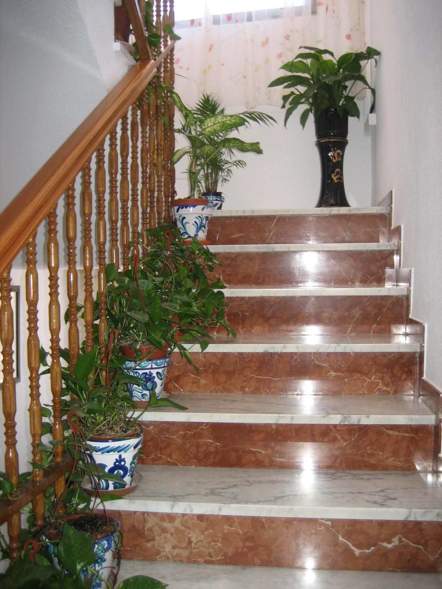 Pension Mari Carmen Salobreña Extérieur photo